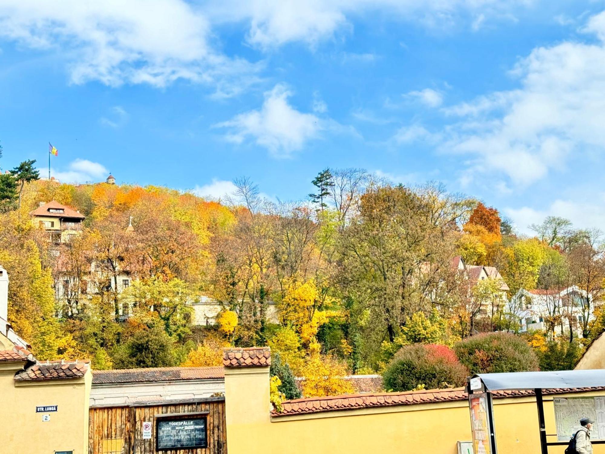 Villa Casa Ming Brașov Exterior foto